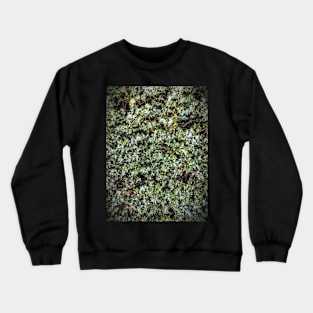 Holly Crewneck Sweatshirt